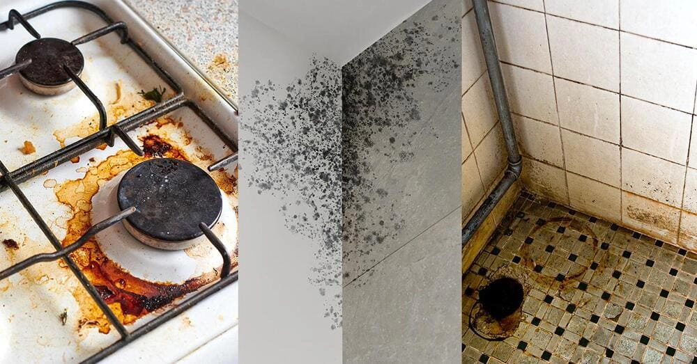 dirty home full of bacteria